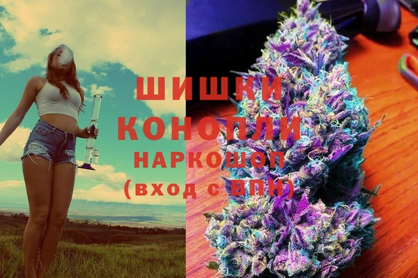 молекула духа Алзамай