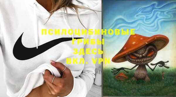 молекула духа Алзамай
