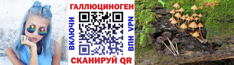 Галлюциногенные грибы мухоморы  сколько стоит  Павловский Посад 